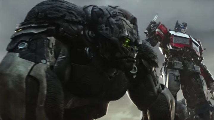 Two transformers stand next to each other in Rise of the Beasts.