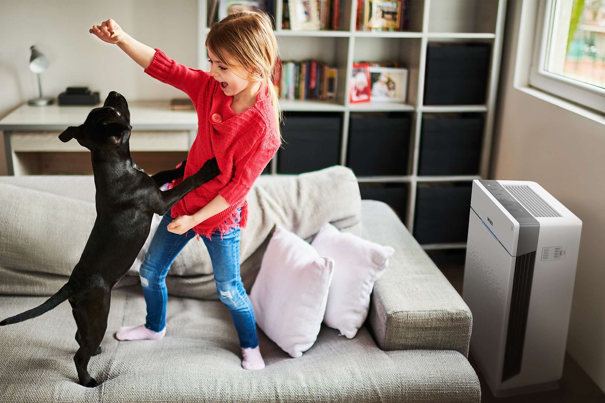 The best air purifiers | Digital Trends - Vimarsana News