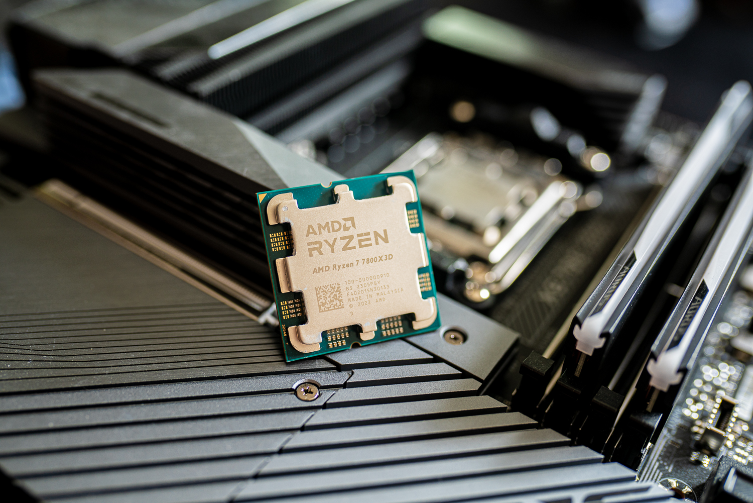 AMD Ryzen 7 7800X3D एक मदरबोर्ड पर बैठा है।