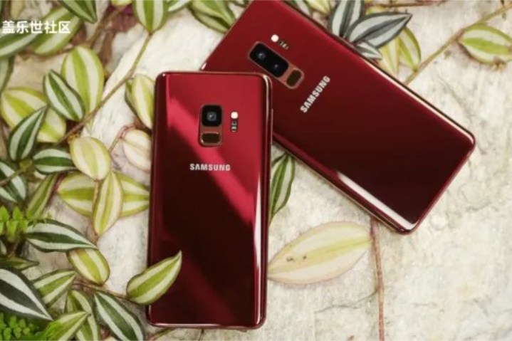 Samsung Galaxy S9 in Burgundy Red.