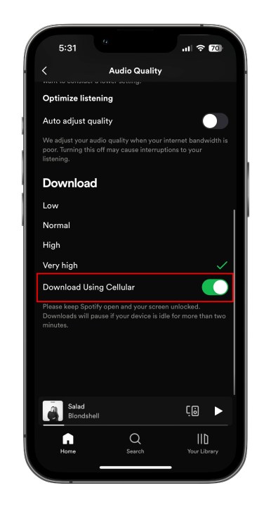 How to download music and podcasts from Spotify: Download over cellular button.