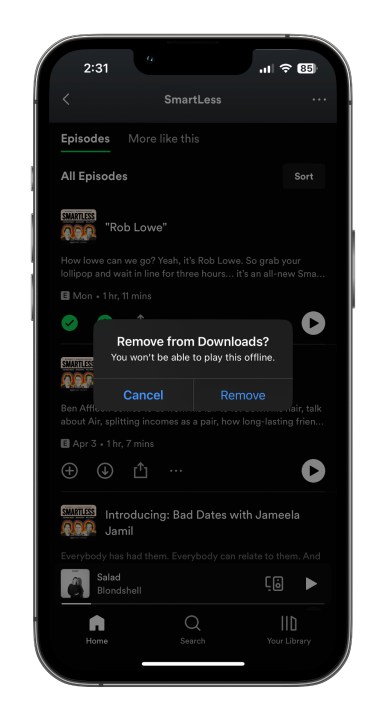how to download songs from spotify music mobile remove