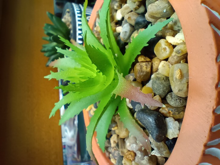 Moto G Power 5G के मैक्रो लेंस का उपयोग करके नकली रसीले पौधे की ली गई तस्वीर।