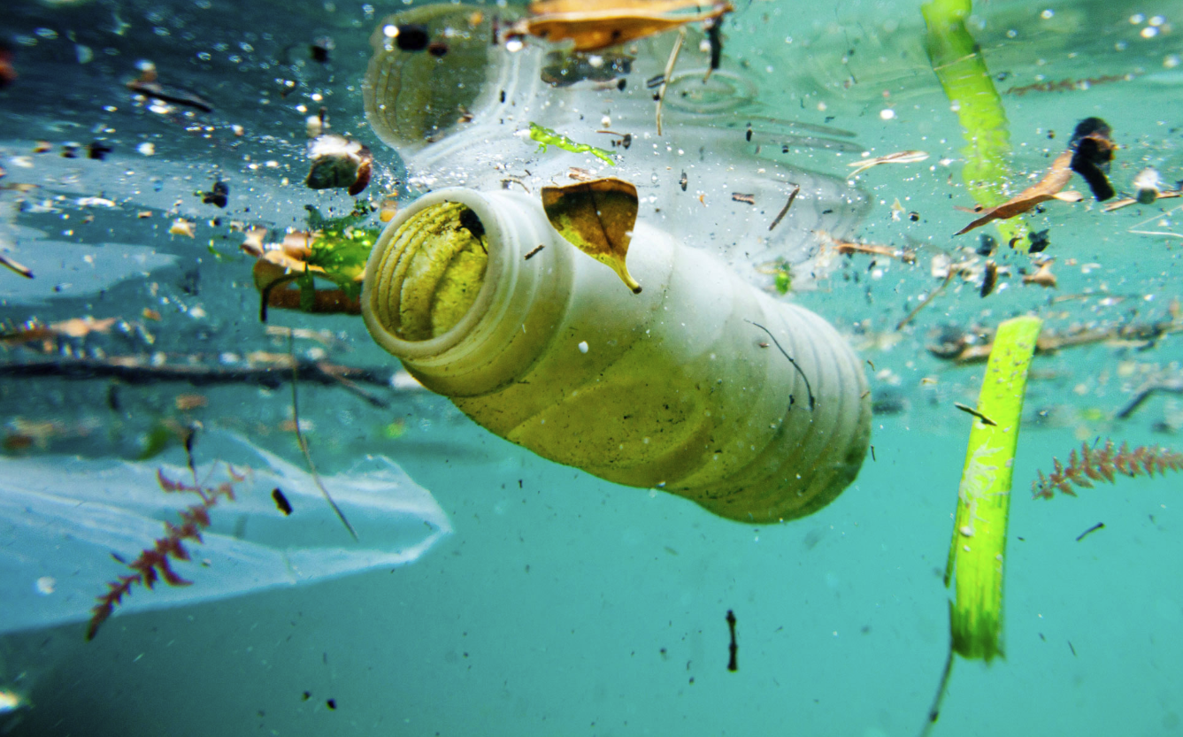 Why plastic-eating bacteria aren't going to save the planet - Vimarsana News