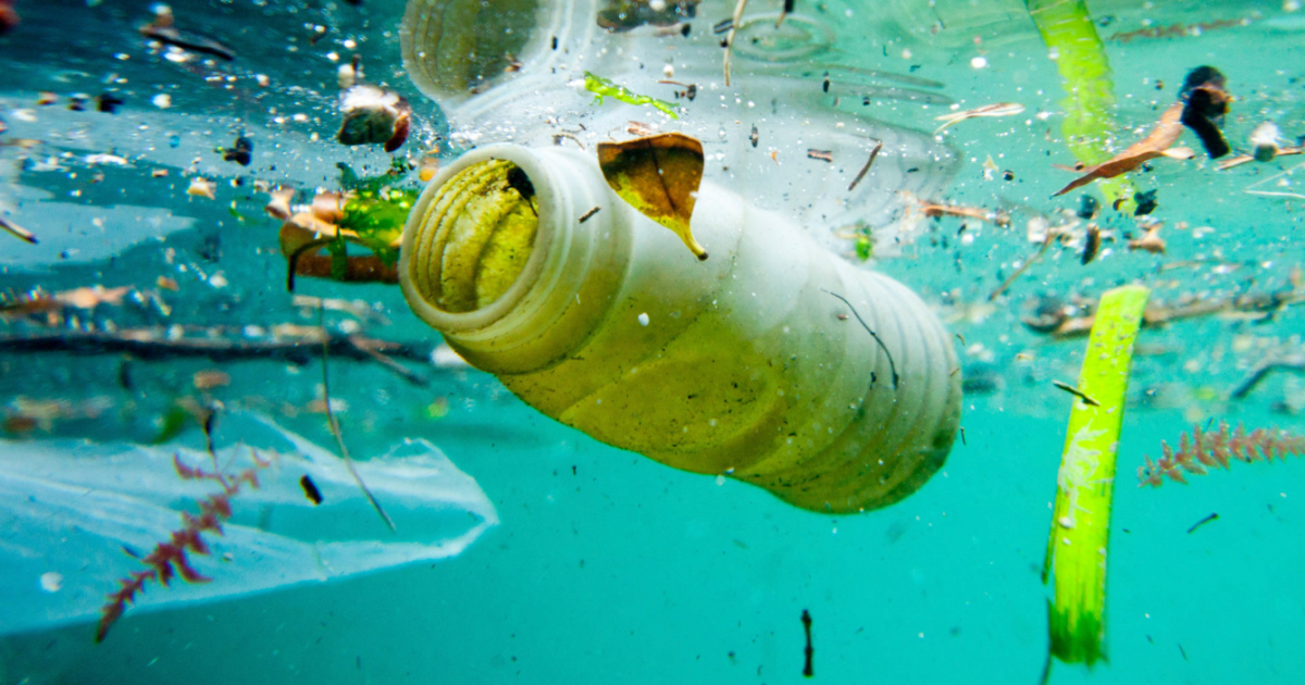 Plastic Digesting Bacteria Won’t Rescue the Planet: Here’s Why