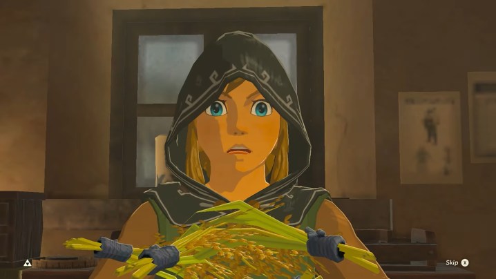 Link looking shocked holding rice.