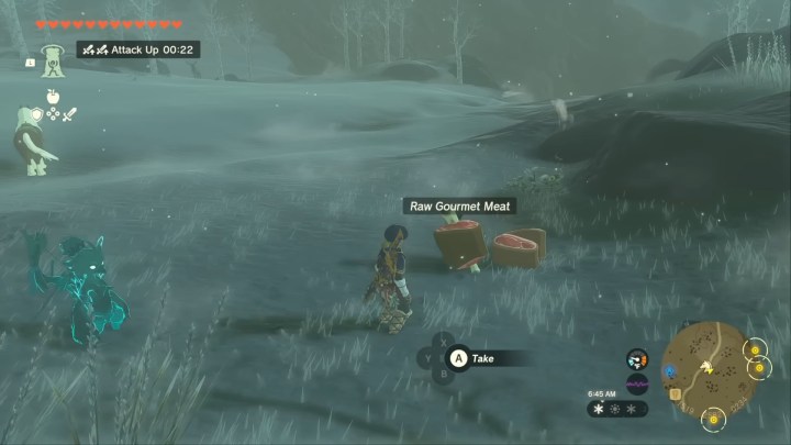 Link collecting raw meat in the snow.