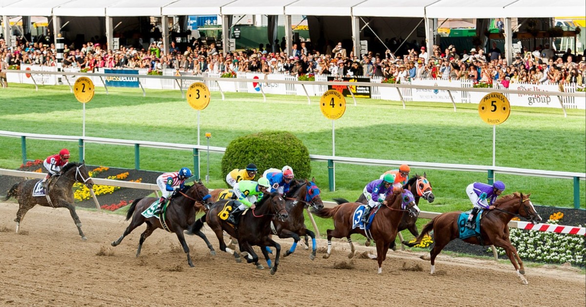 The place to observe the 2023 Preakness Stakes: stay stream at no cost