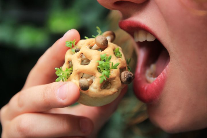 an experimental 3D printed snack