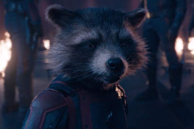 'Guardians of the Galaxy Vol. 3' Rocket (voiced by Bradley Cooper) with a serious look on his face, while wearing a red and black costume.