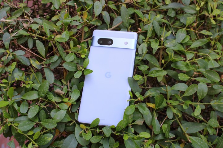 Pixel 7a lying on leaves.