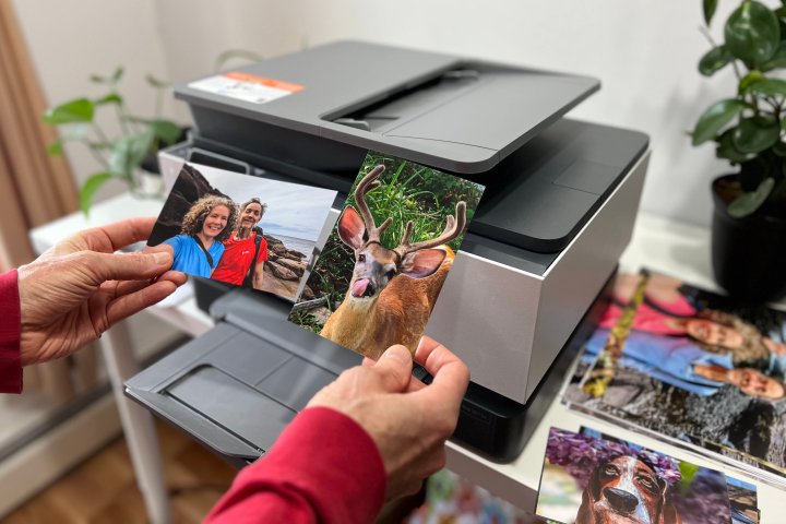The HP OfficeJet Pro 9015e has great photo print quality.