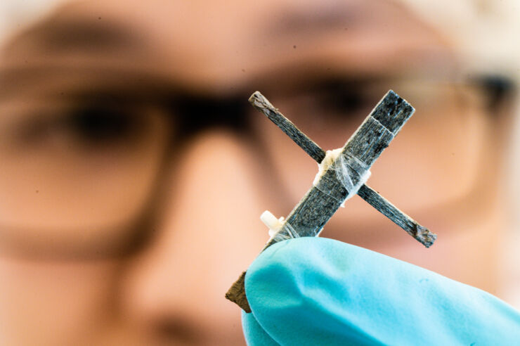 This groundbreaking transistor is made entirely out of wood - Vimarsana News