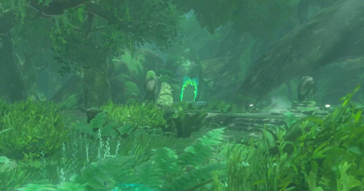 How one can get into the Misplaced Woods in Zelda: Tears of the Kingdom