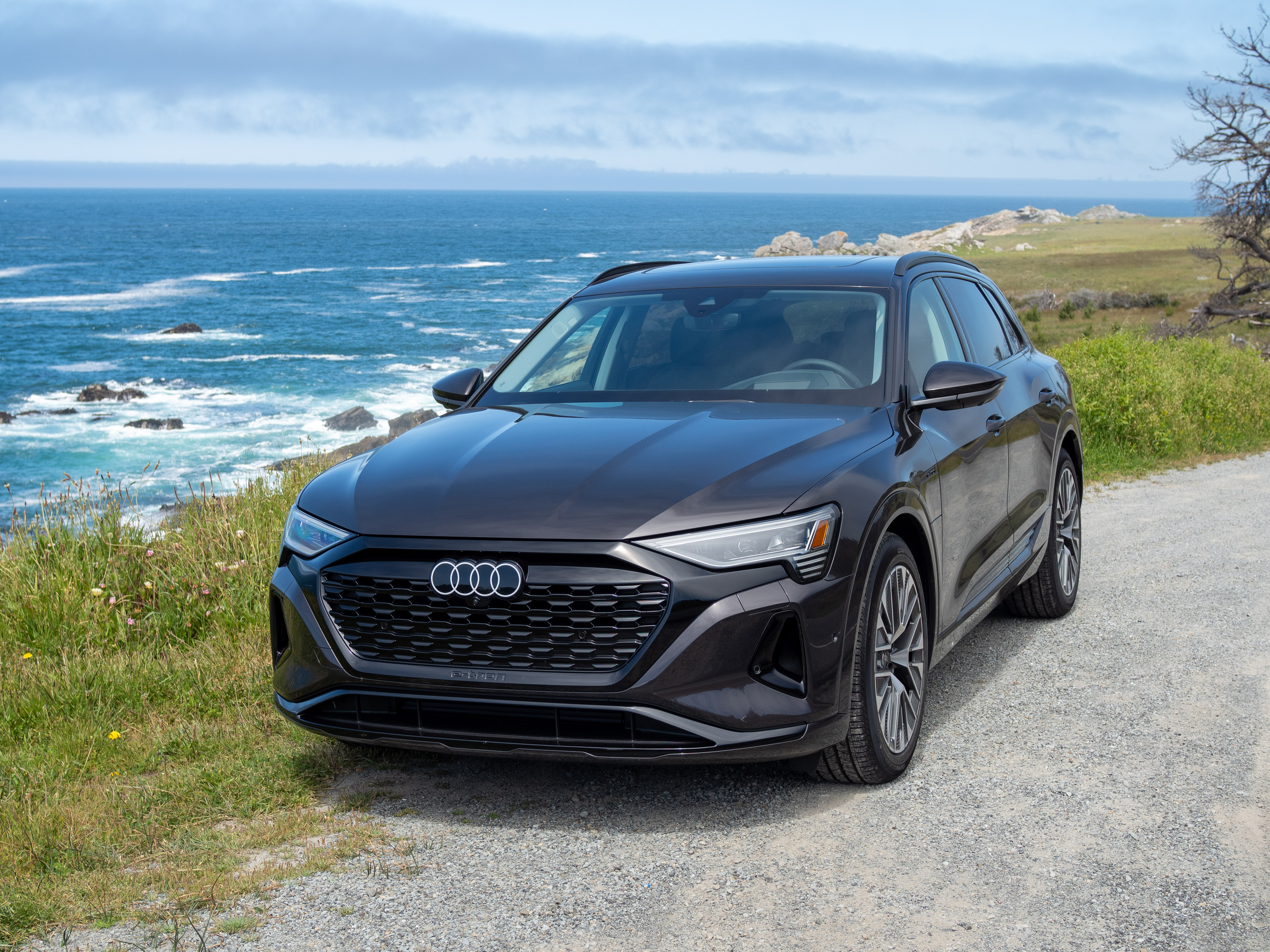 2024 Audi Q8 Sportback E-Tron Prices, Reviews, and Photos - MotorTrend