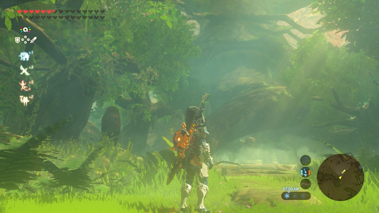 Link explora a Floresta Perdida em The Legend of Zelda: Breath of the Wild.