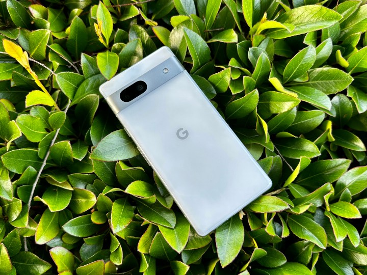 Google Pixel 7a laying on a bush