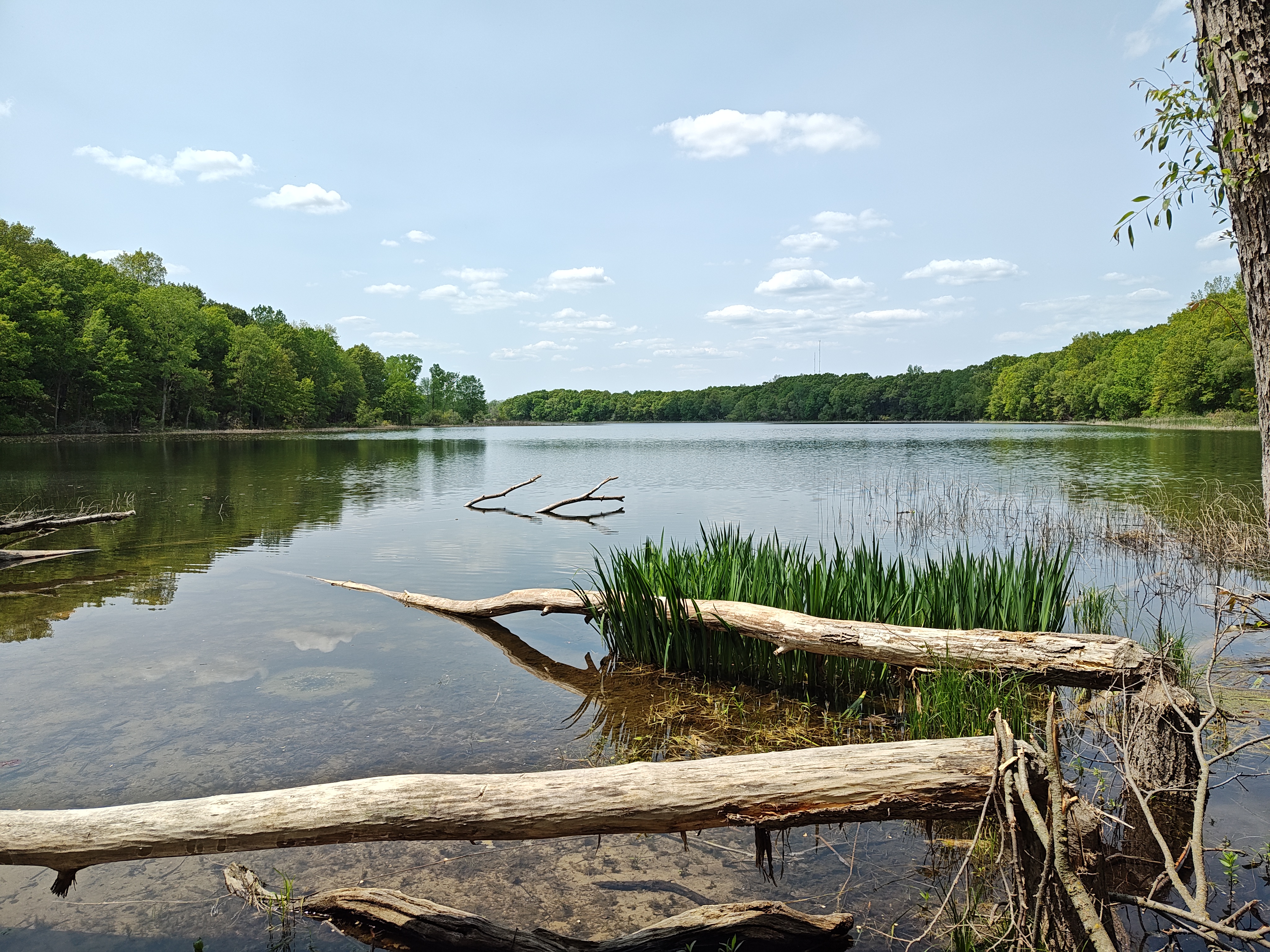 Photo of a large lake, taken with the Motorola Edge Plus (2023).