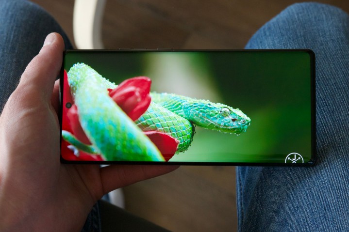 Watching a video of a snake on the Motorola Edge Plus (2023).
