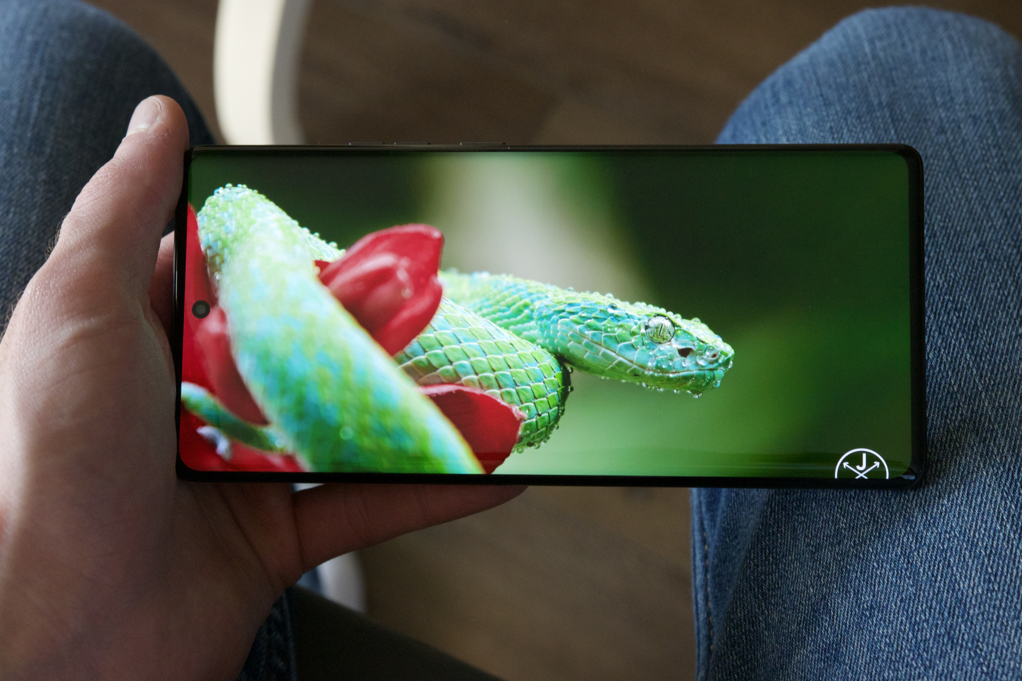 Watching a video of a snake on the Motorola Edge Plus (2023).