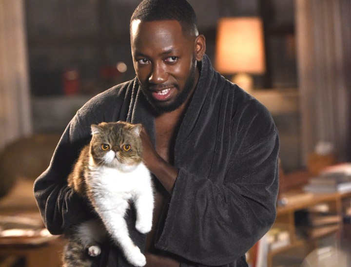 Winston segura seu gato no loft em New Girl