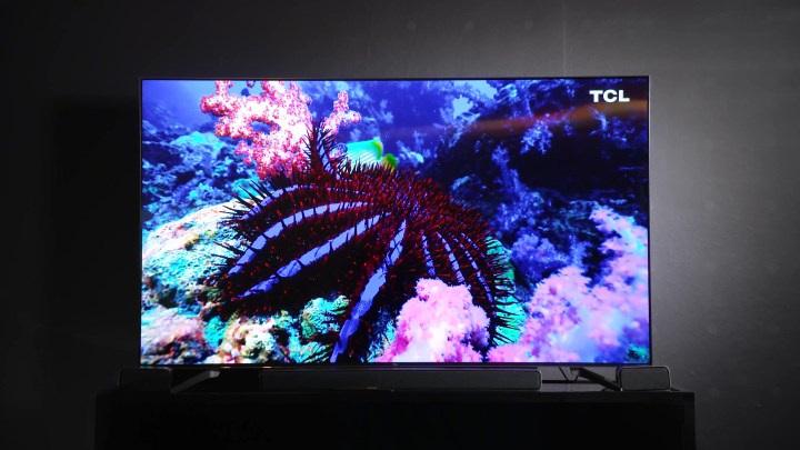 An undersea reef shown on a TCL Q7.