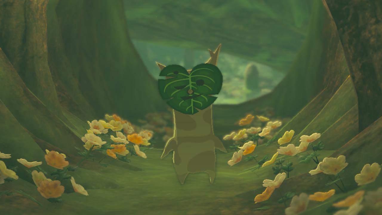 Zelda: Tears of the Kingdom players are terrorizing Koroks - Vimarsana News