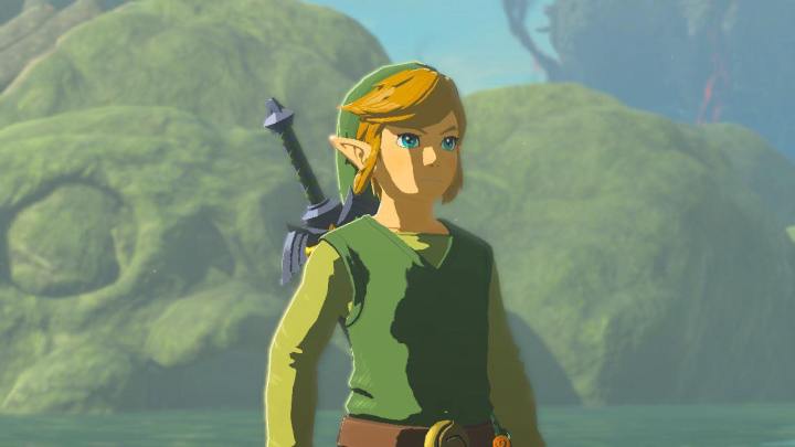 Link dresses in Wind Waker gear in The Legend of Zelda: Tears of the Kingdom.