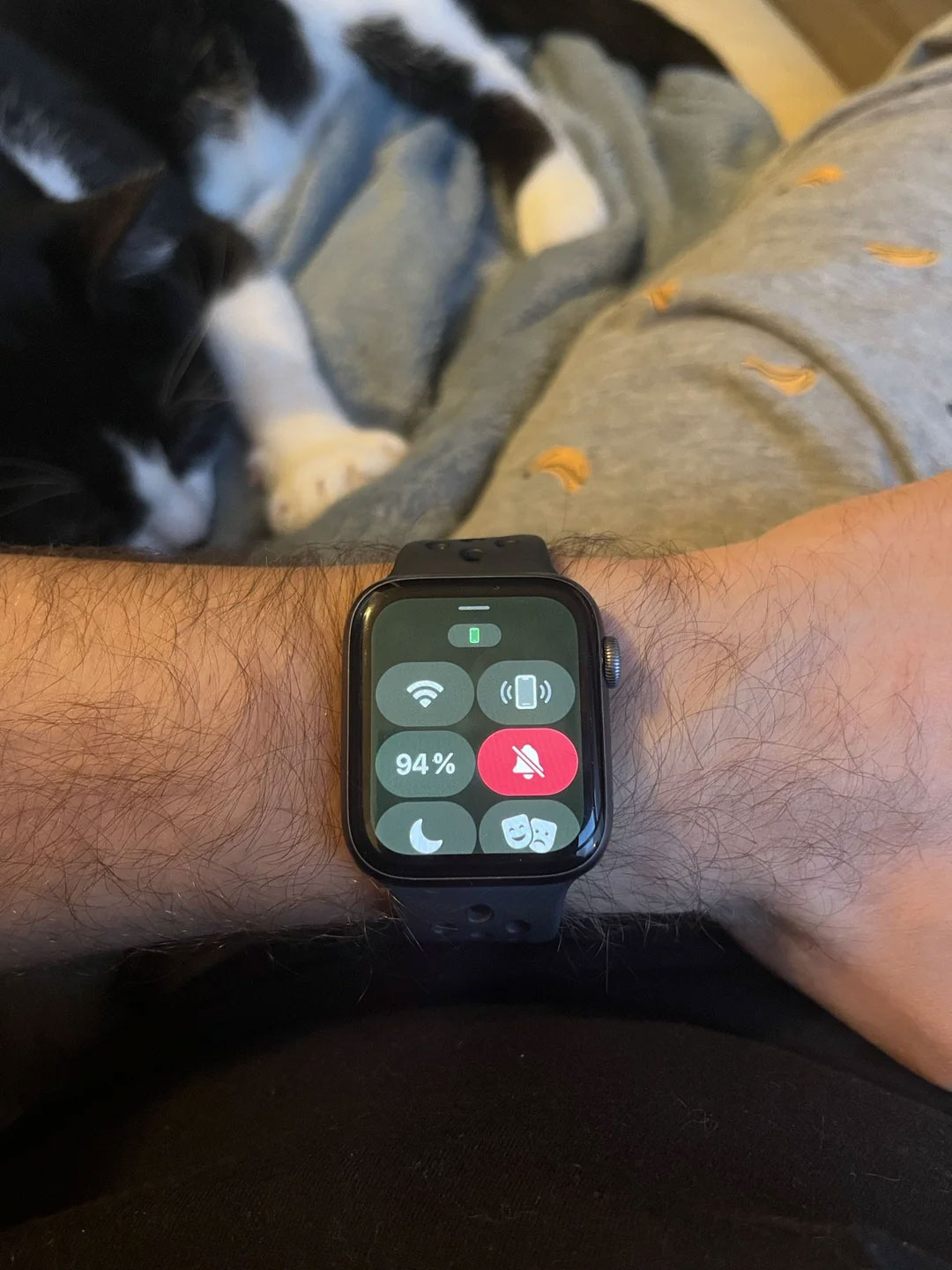 Um Apple Watch com um tom cinza/verde na tela.