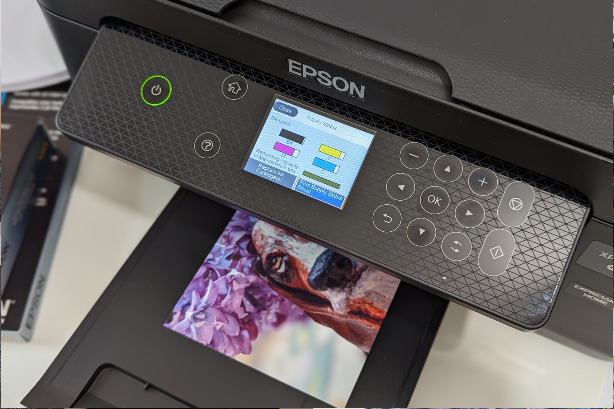 A 4x6 print is in progress on the Epson Expression Home XP-4200 with ink levels on the display.