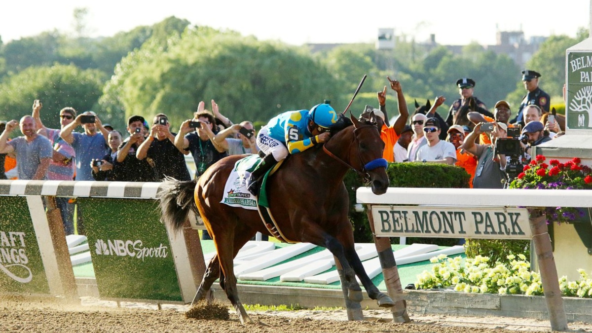 Where to watch 2023 Belmont Stakes live stream for free - Vimarsana News