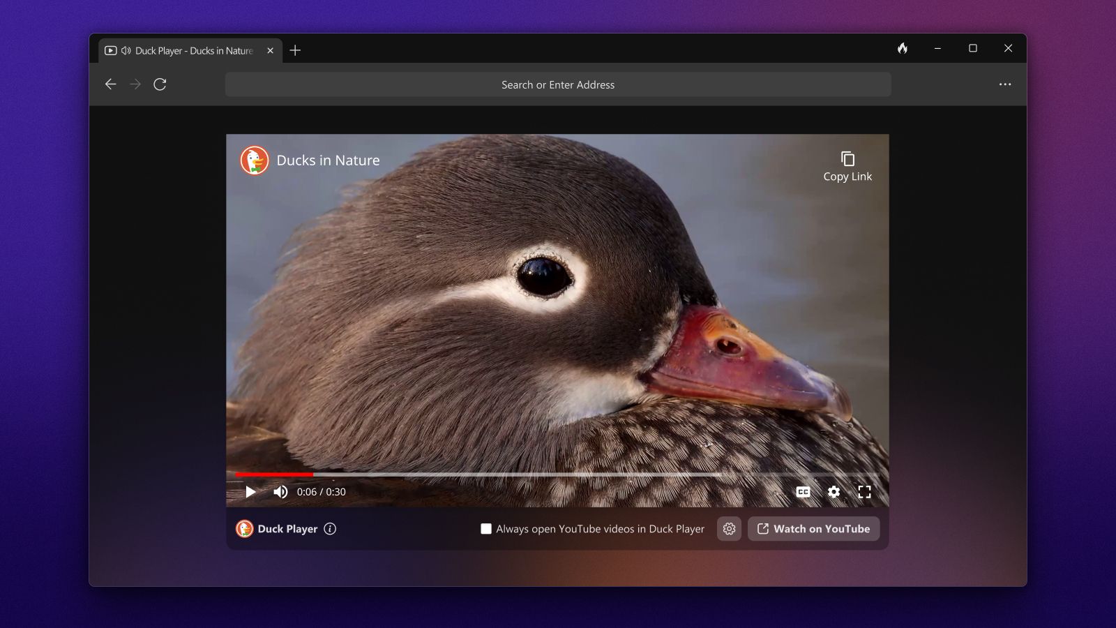 डकडकगो के विंडोज़ वेब ब्राउज़र का डक प्लेयर फीचर, एक वीडियो चलाता हुआ दिखाता है।