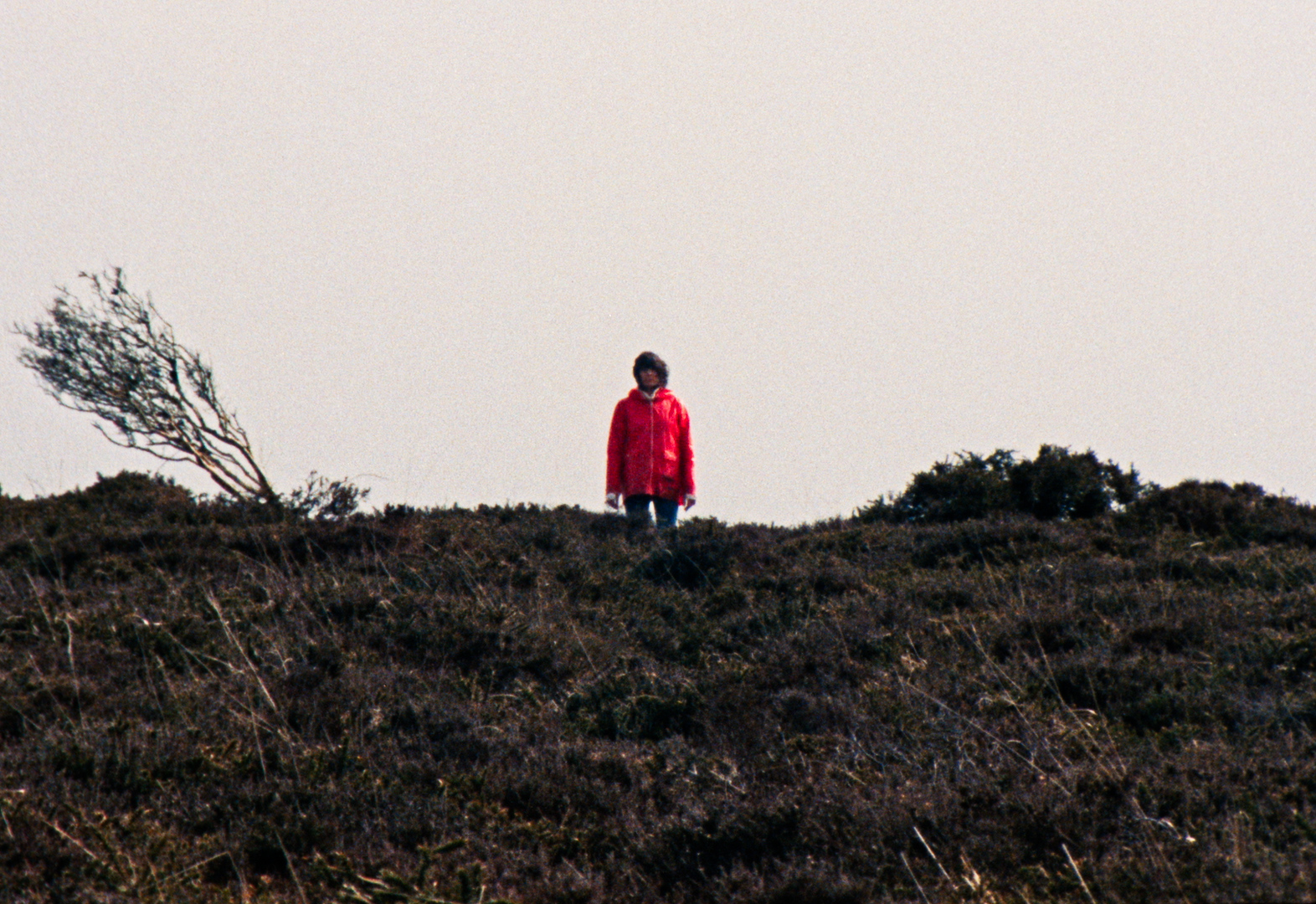 Uma mulher com uma jaqueta vermelha fica à distância em uma colina verde.