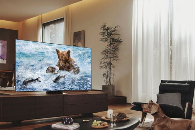 Samsung 55-inch QN700B 8K TV placed in a living room displaying a bear in a river.