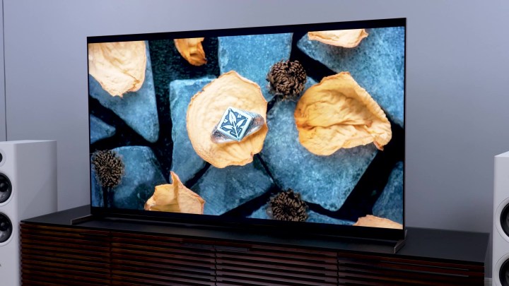Un'insegna di metallo sopra una foglia su un terreno sassoso su un mini TV LED Sony Bravia X93L.