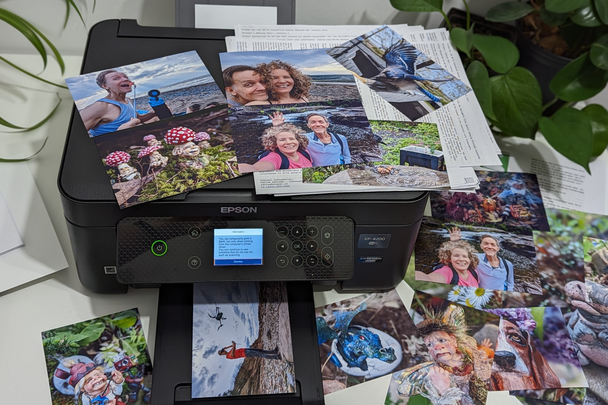 The Epson Expression Home XP-4200 is a nice all-in-one printer for home use.