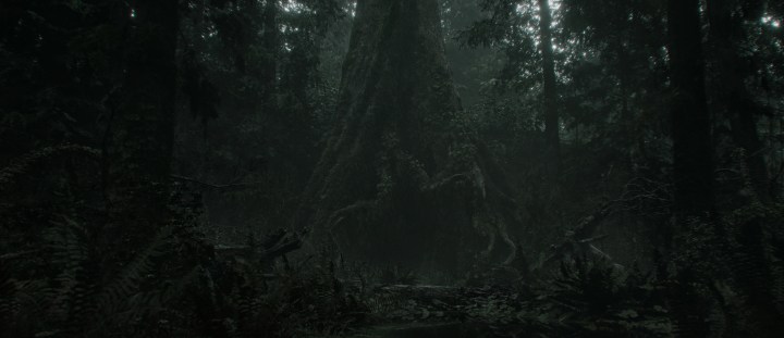 Cauldron Lake appears in Alan Wake 2.