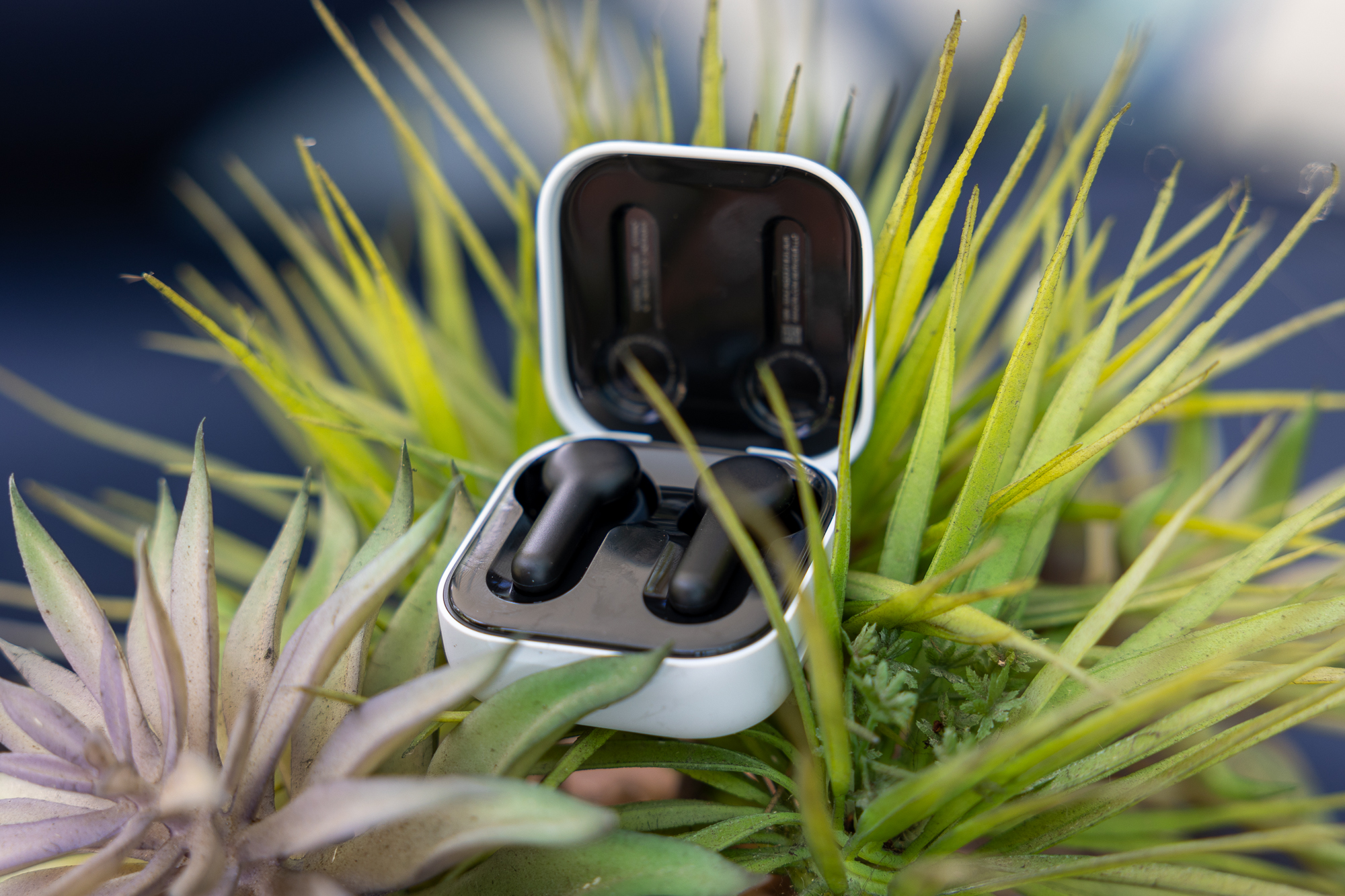 Echo Buds 2023 review: Alexa's in your ear for just $50