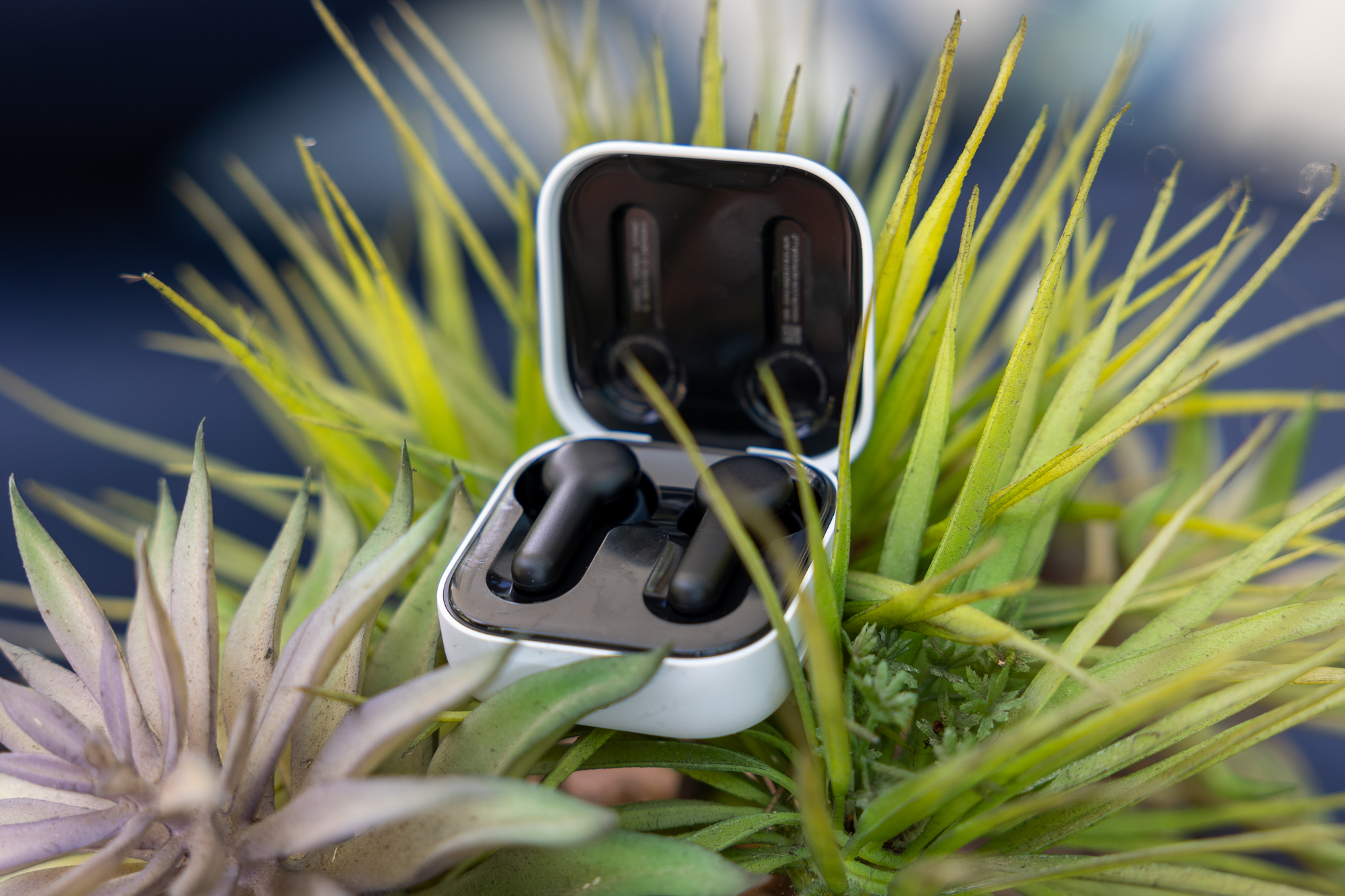 Amazon Echo Buds 2023 review: Alexa's in your ear for just $50 - Vimarsana News