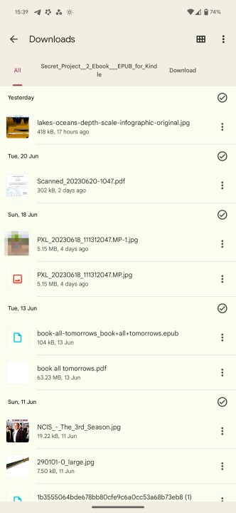 The Downloads folder in Files on a Pixel, arranged in details view.