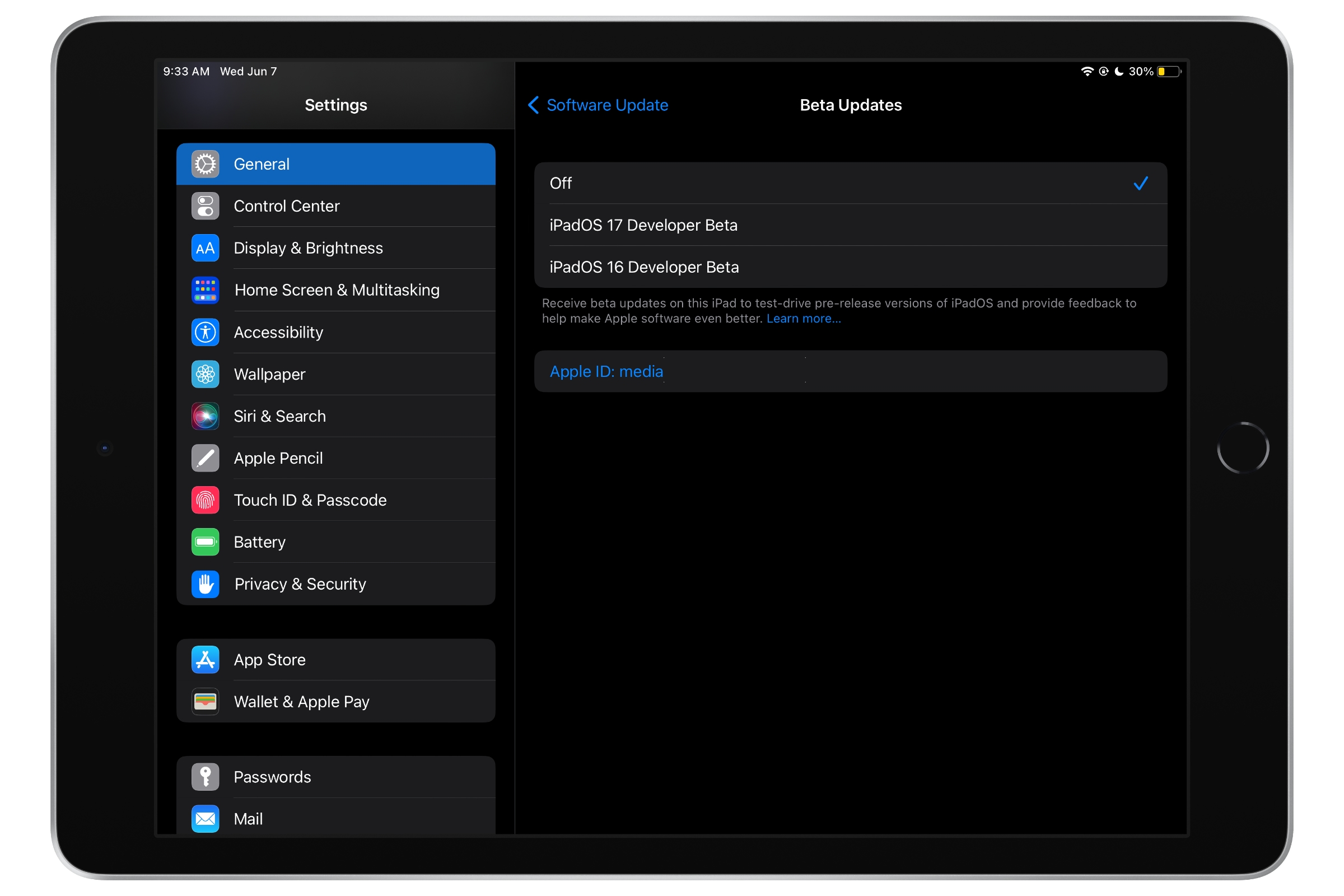 iPad mostrando seleções de atualização de software beta.