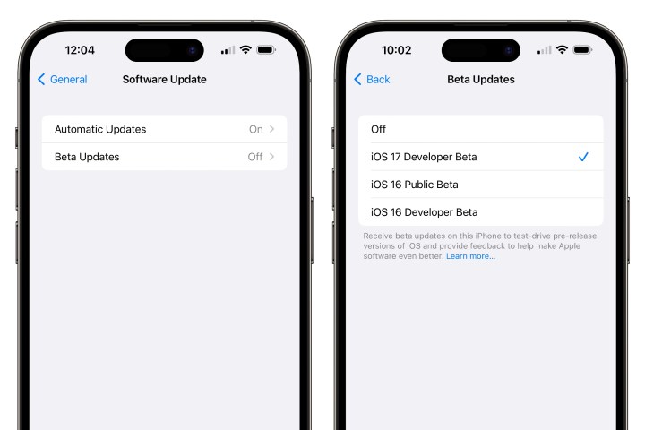 Two iPhones showing Software Update options for developer and public betas.