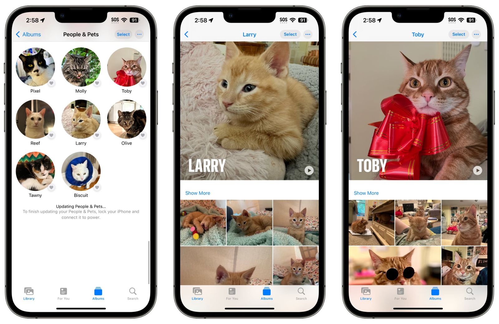 Álbum de pessoas e animais de estimação em Fotos no iOS 17