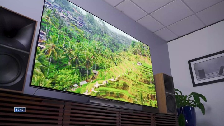A lush jungle scene on the LG G3.