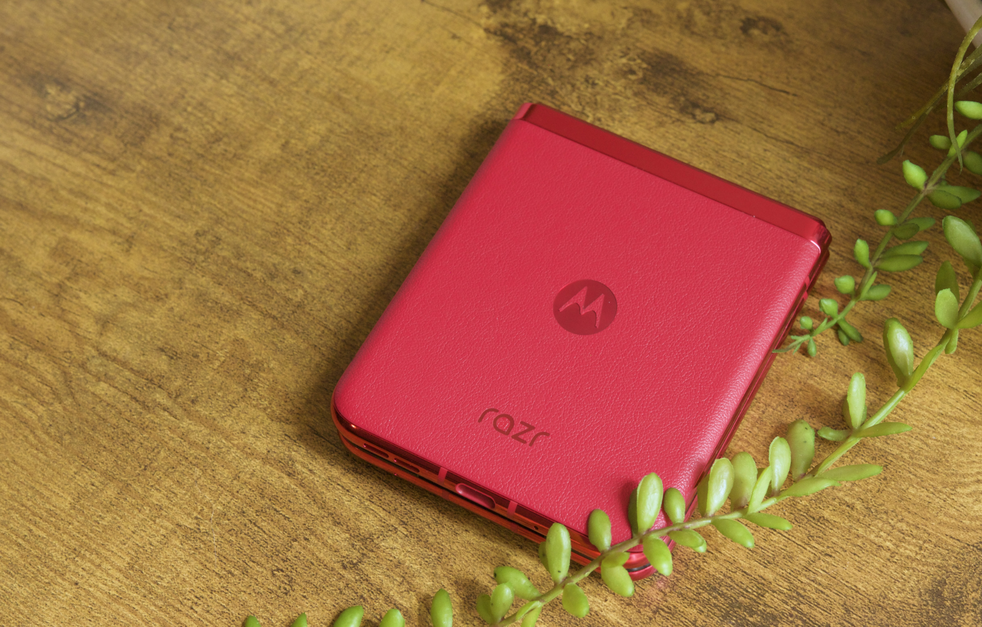 My two biggest problems with the Motorola Razr Plus - Vimarsana News