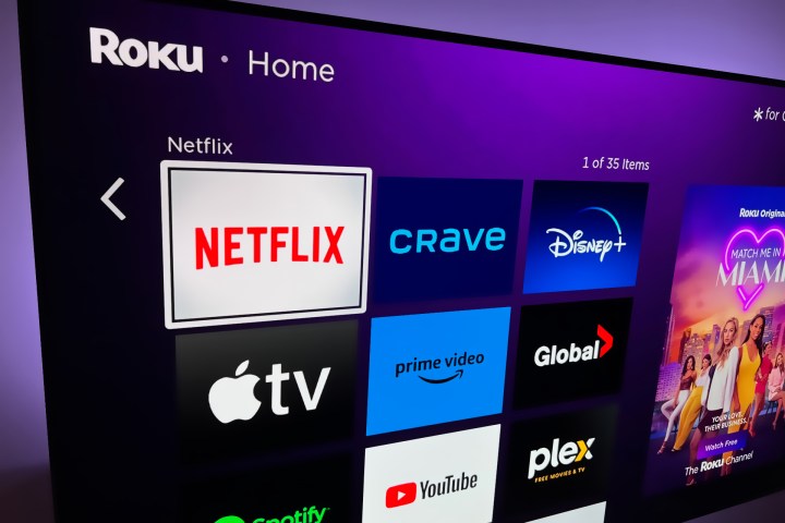 Netflix on a TV screen showing on the Roku home screen.