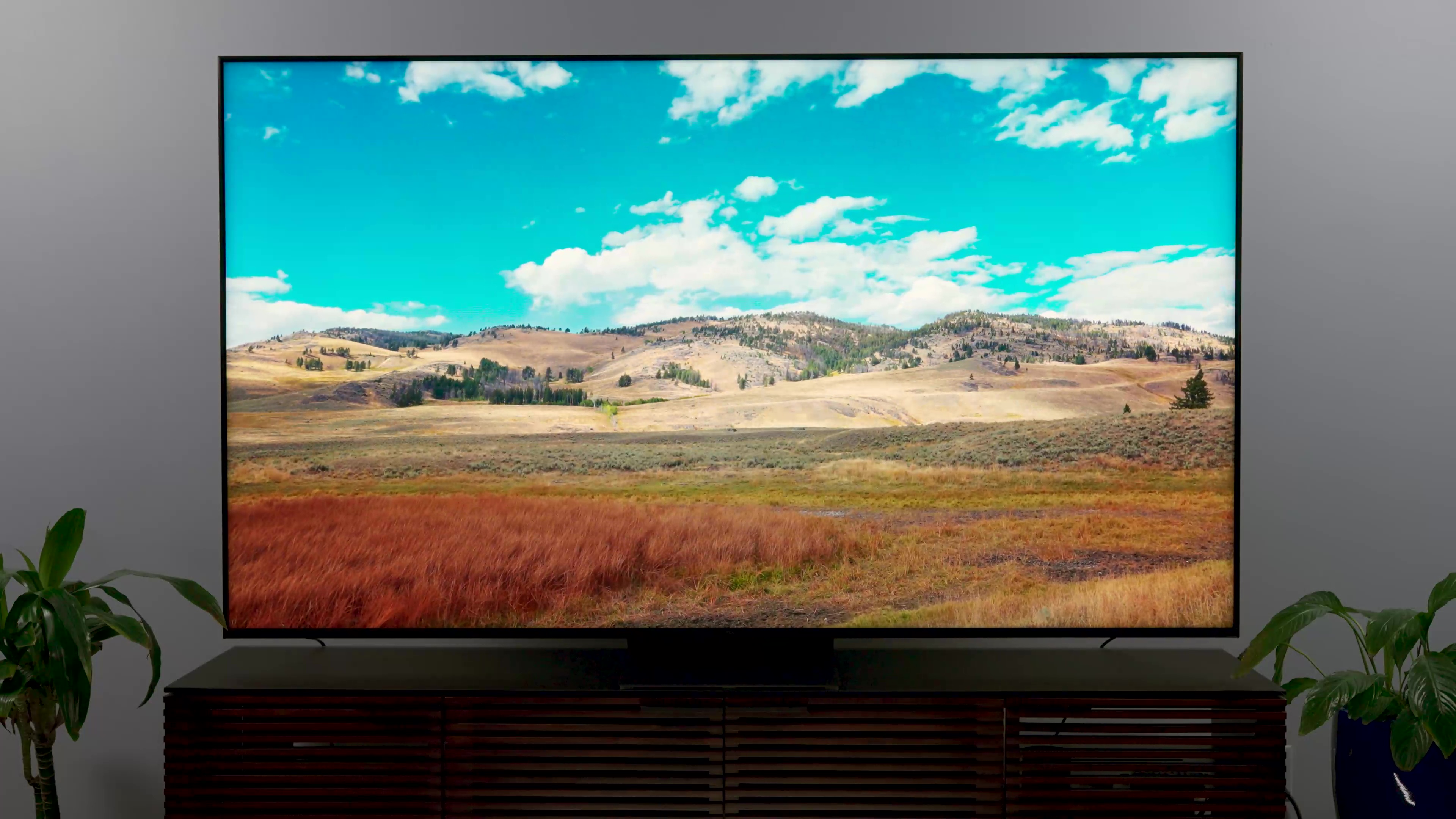 The best Google TVs of 2023: from Sony, Hisense, and TCL - Vimarsana News
