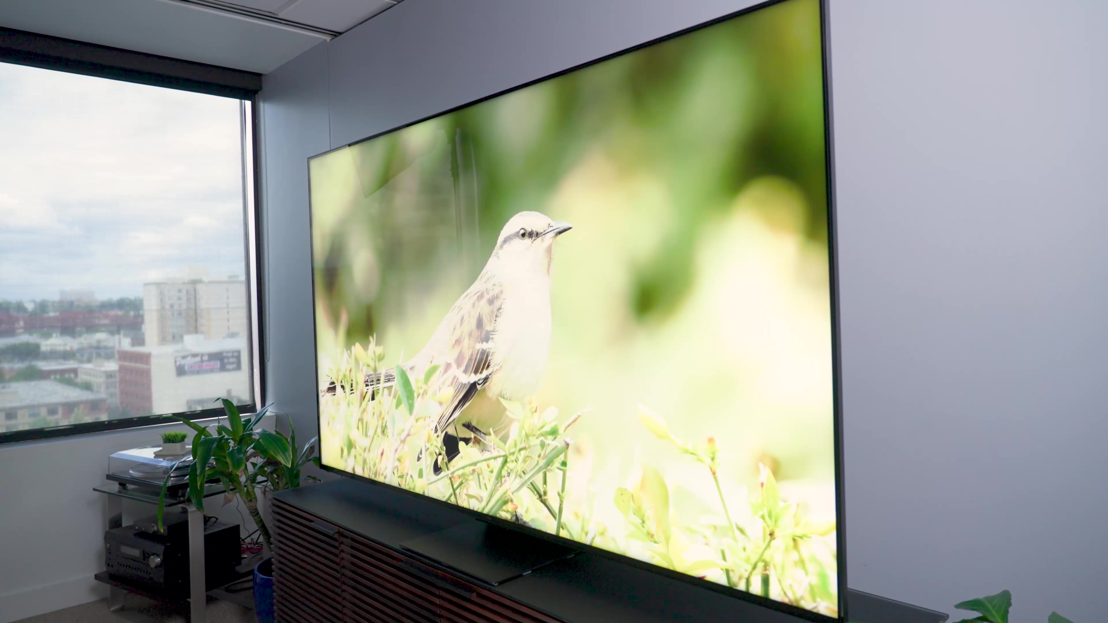 TCL 65 inch Q Class QM8 4K Mini-LED QLED HDR Smart TV with Google TV  (65QM850G, 2023Model) 