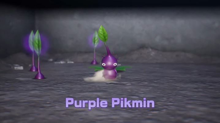 A purple pikmin stomping the ground.