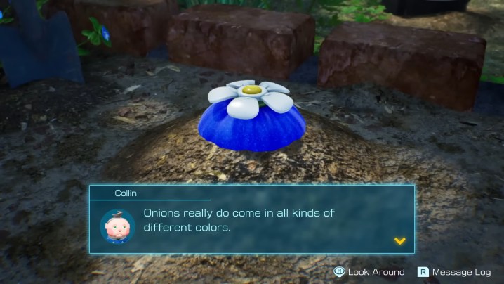Collin saying how onions come in tons of colors in Pikmin 4.